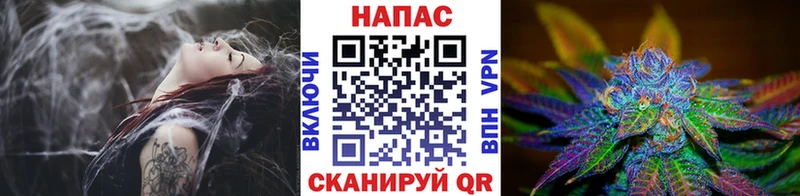 Бошки марихуана сатива Духовщина
